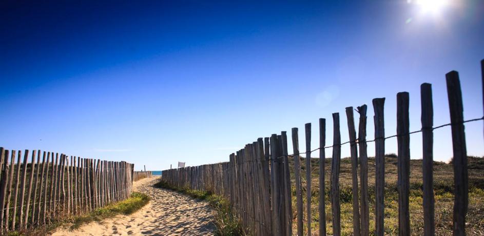 L'Escale Catalane, 50M De La Plage, 36M2, Parking Canet-en-Roussillon Buitenkant foto